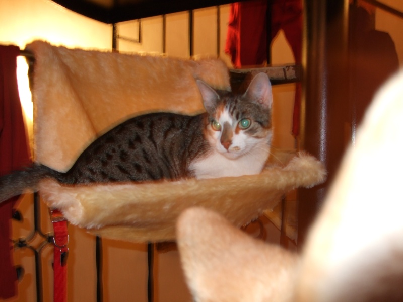 Ostern 2007 Orleshausen 101 